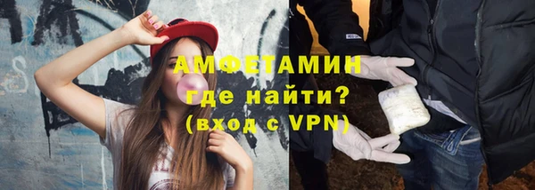молекула духа Бородино