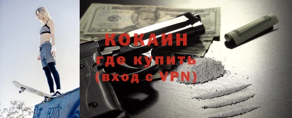 молекула духа Бородино