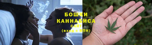 молекула духа Бородино