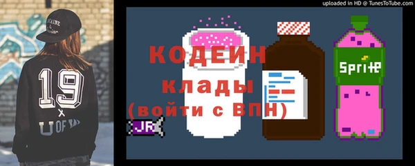 молекула духа Бородино
