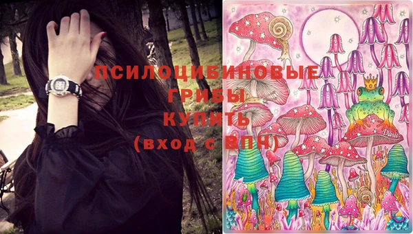 молекула духа Бородино