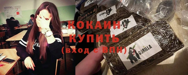 молекула духа Бородино