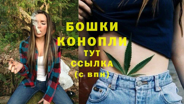 spice Бронницы