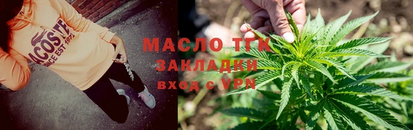 молекула духа Бородино