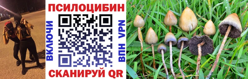 Галлюциногенные грибы Psilocybine cubensis  blacksprut зеркало  Чита 